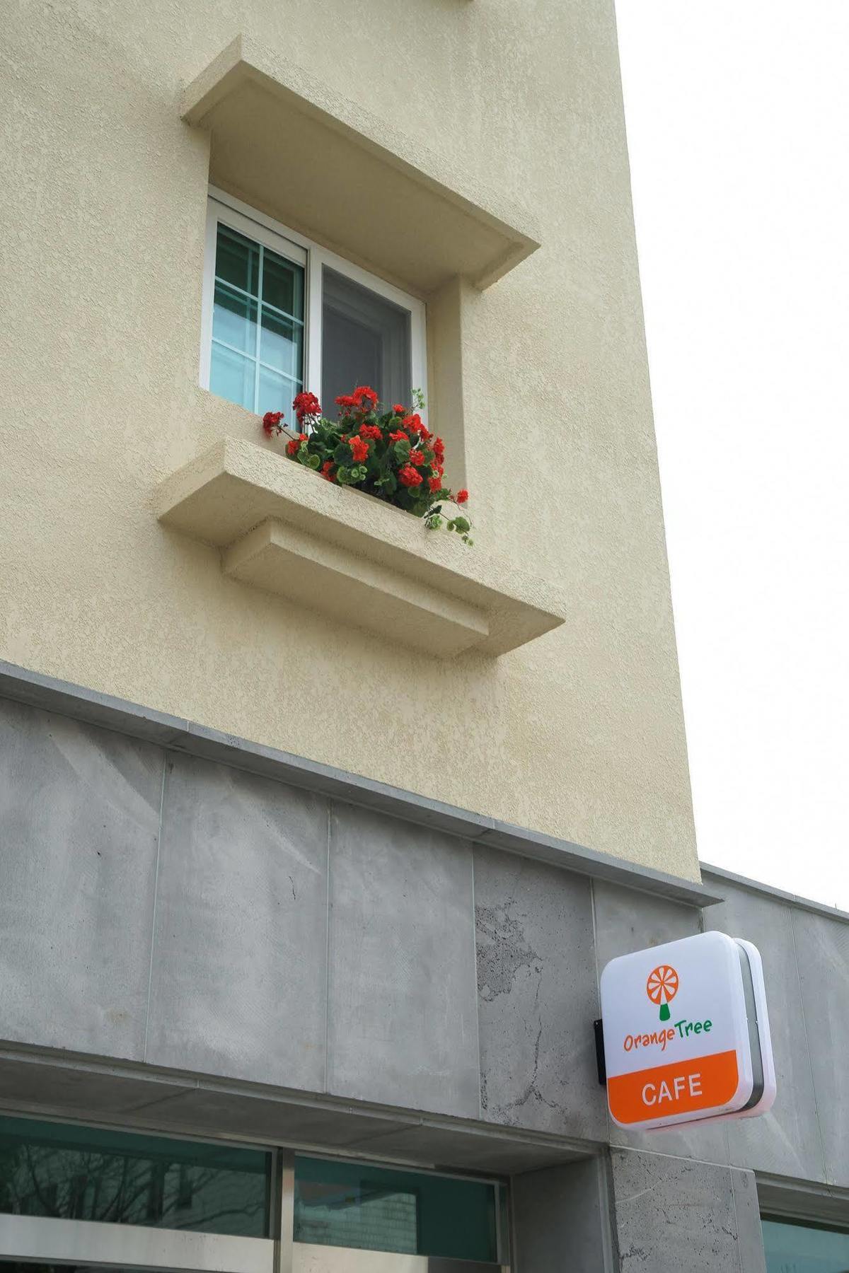 Orange Tree Hotel Jeju Bagian luar foto