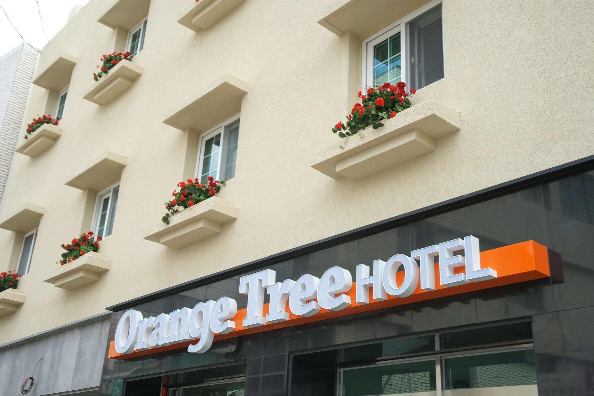 Orange Tree Hotel Jeju Bagian luar foto