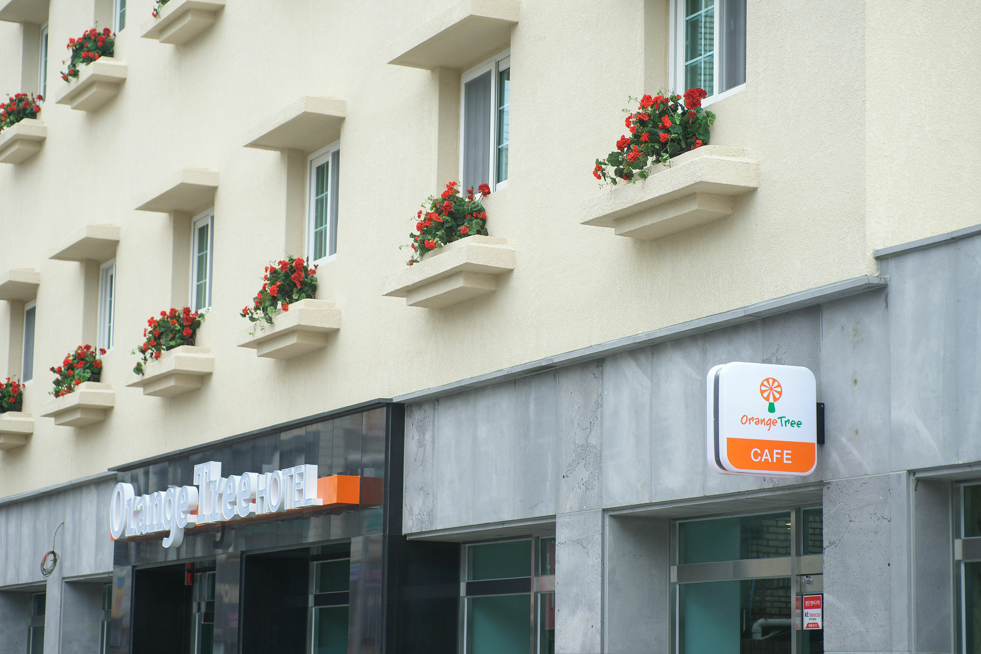Orange Tree Hotel Jeju Bagian luar foto